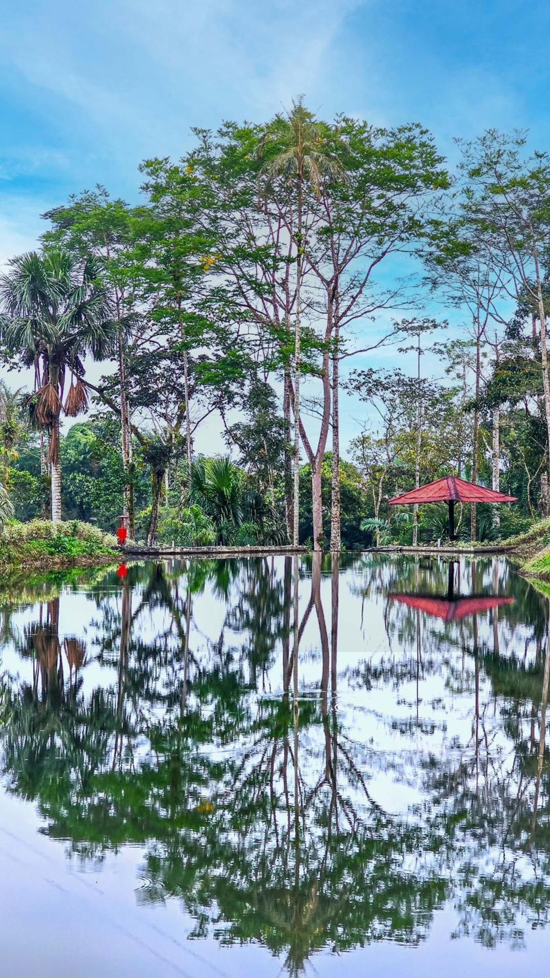 Hosteria Finca El Pigual Puyo Esterno foto
